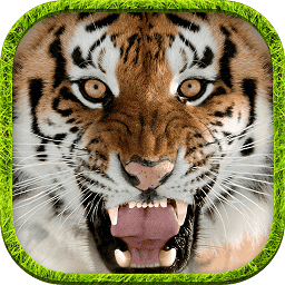 终极国产又大不黄又粗模拟器官方版下载-终极模拟国产又大不黄又粗游戏手机版下载 v1.5 安卓版